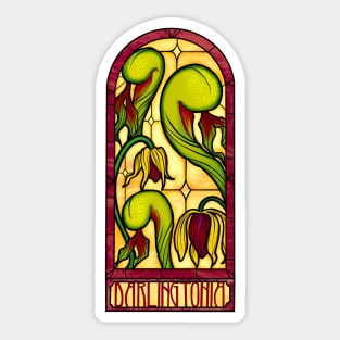 Darlingtonia Stained Glass Sticker